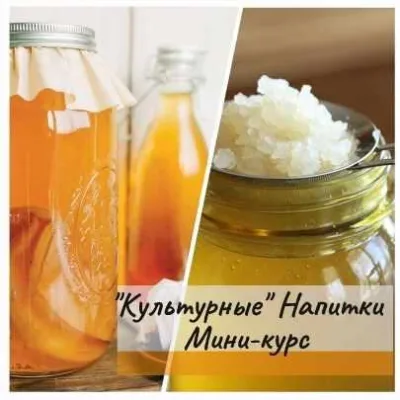 [mazaika_fermentation] "Культурные" напитки мини-курс (Анна Дроздова)