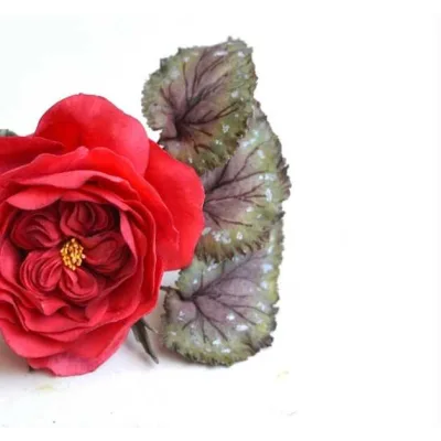 [Где торт?] Сахарная Роза Остина (Евгения Бочарова)