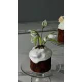 [MacBaker] Пасхальный интенсив (Лилит Аракелян)