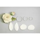 Сахарная флористика (Инна Питерова)