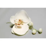 Сахарная флористика (Инна Питерова)