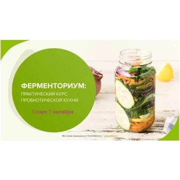 Ферменториум: практический курс пробиотической кухни (Юлия Мальцева)