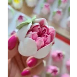 Махровые зефирные тюльпаны (Ляйсян Казыргалина)