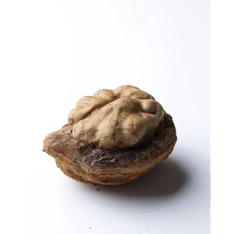 Корпусные пирожные (Ксения Хохлова) @ks_candymom