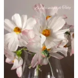 Курс "Осенний" (Татьяна Ефремова)