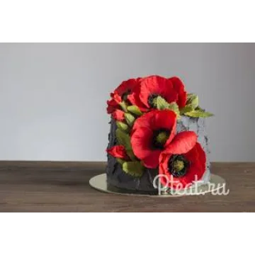 Видео МК по шоколадным макам ( Tori Pteat)