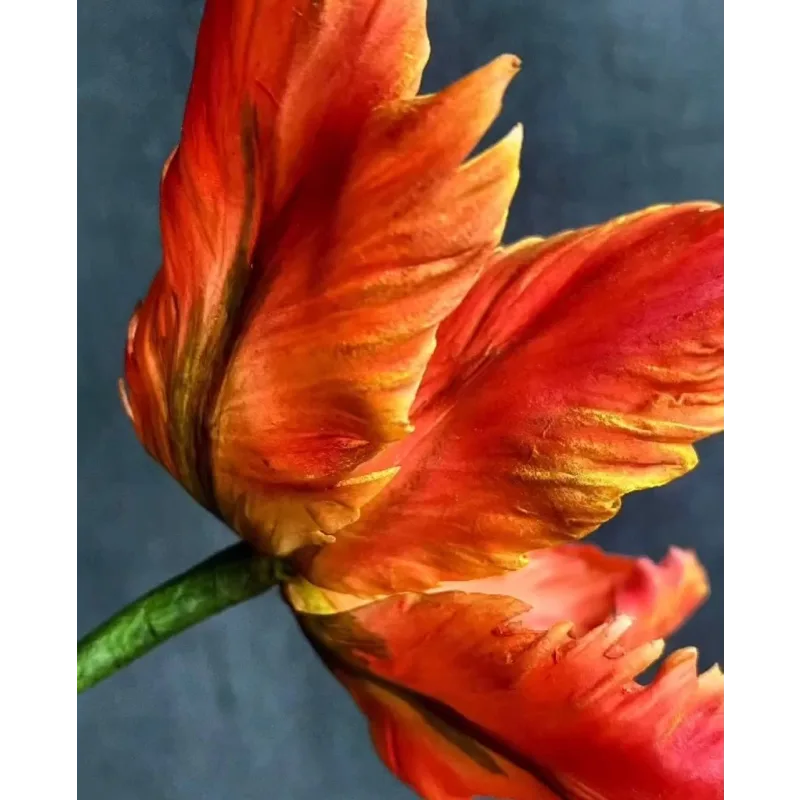 Тюльпан попугай из сахарной мастики. Май 2021 (elenawilkinson)