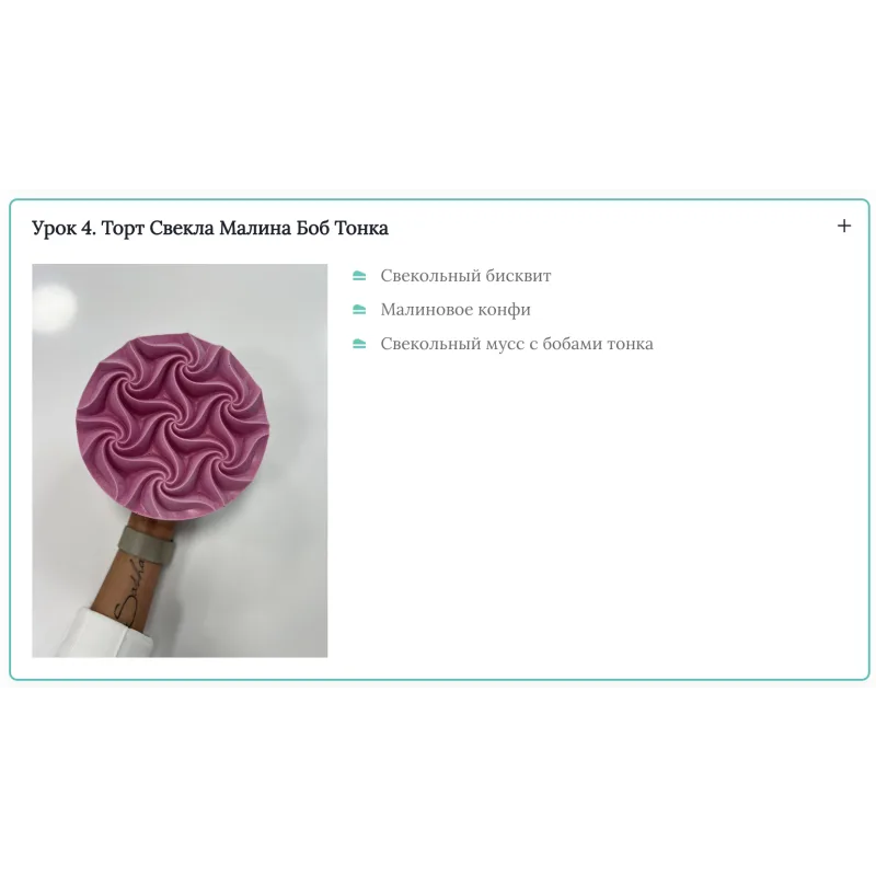 [Cake Pro] Муссовые торты 3.0 (Александра Овешкова)