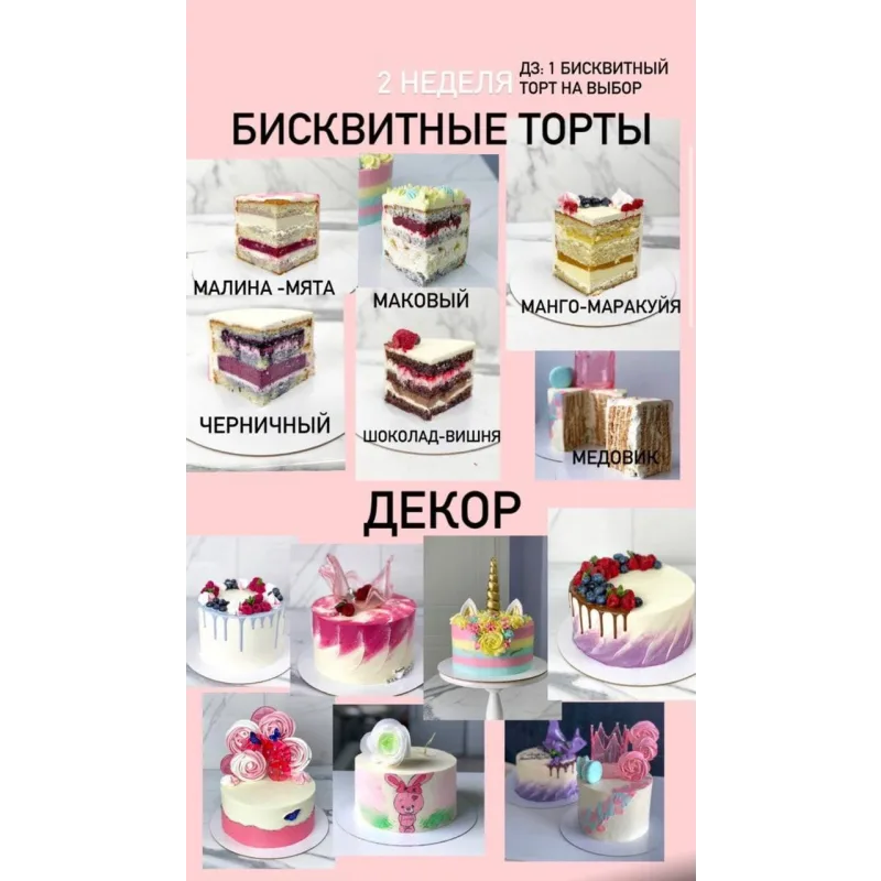 Курс "От новичка до профи". Версия VIP. (Ольга Шмукста)