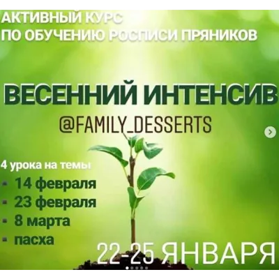 МК по росписи пряников - Интенсив 1 (Евгения Локтева)