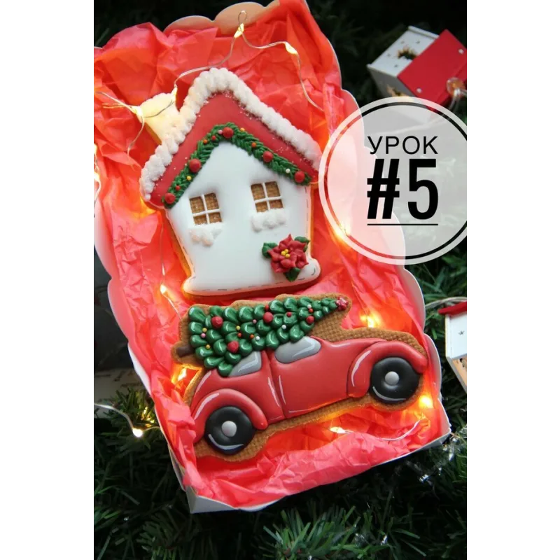 Новогодний курс 2022 по росписи пряников (Мария Ермолаева)