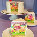 Техника cakeinside торт с рисунком мишки (Евгения Кизленко, Kizlenkocake)