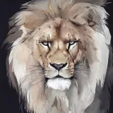 Мужские торты (Юлия Припутнева) @__praline__