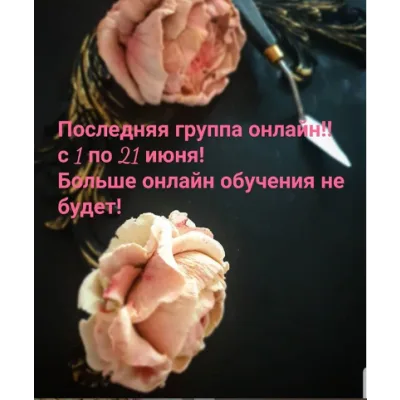 МК по скульптурной живописи на тортах (Елена Гринева)