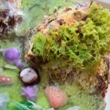 Торт "Остров" (malinovii_keks_kr)