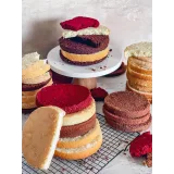 [fun__bun] Курс "Бисквиты" (Юлия Нежурина)