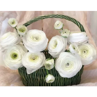 Ранункулюс из вафельной бумаги (Алена Орлова)