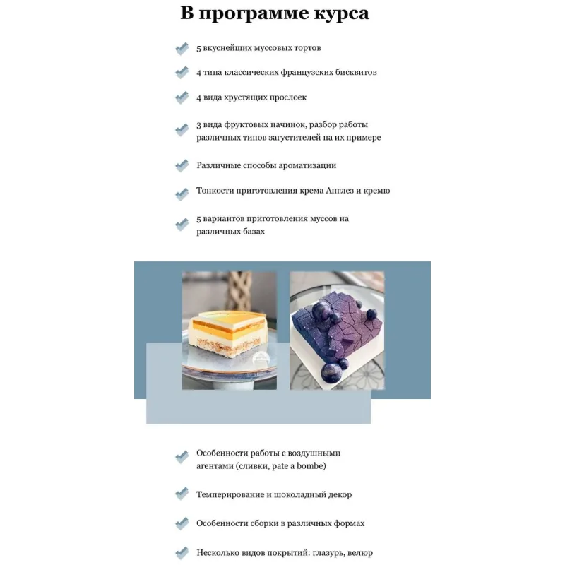 Онлайн-курс «Муссовые десерты» (Кристина Лова)