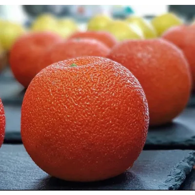 "7 new десертов" 2021 (Юлия Беличенко, belichenko_julia)