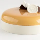 Курс «Муссовые торты» (Вера Никандрова)