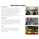 Обучающий Курс "Концептуальный Десерт" (Сергей Рулев)