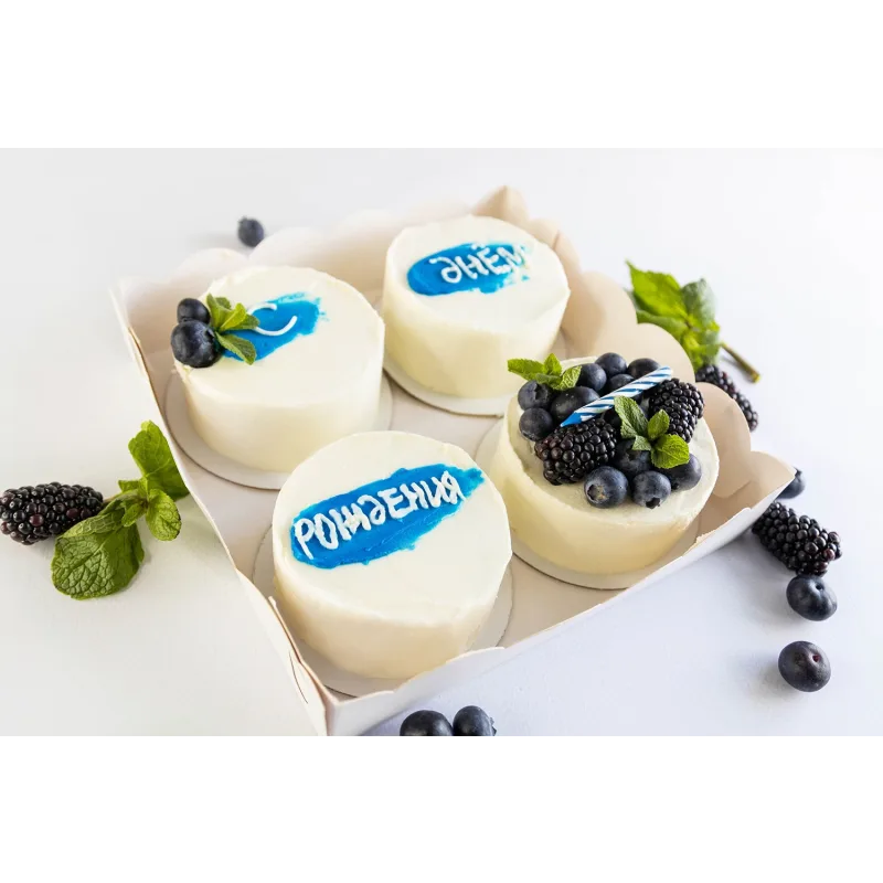 Вне формата: Бенто и Cake to go (Мария Владимирова)