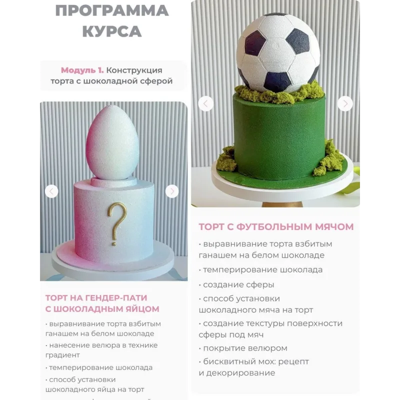 Кондитер PRO. Декоры. Прибыль. Рост (Ольга Шмукста)