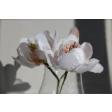 Курс “Вафельная флористика 2.0” (Татьяна Ефремова)