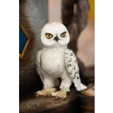 [Kabilova school] Волшебный мир Гарри Поттера (Диля Кабилова)