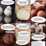 Трюфель Уровень 1.0 (Елена Горнова)