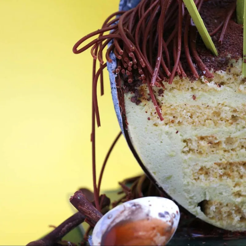 Торт "Пасхальное гнездо" (Ксения ПаниМарципани)