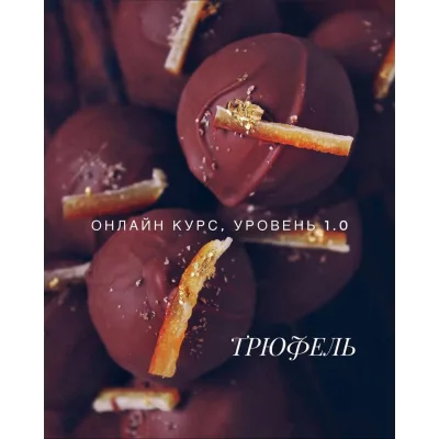 Трюфель Уровень 1.0 (Елена Горнова)