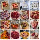 [elenapo11] Зефир в деталях. Тариф Продвинутый (Елена Попова)