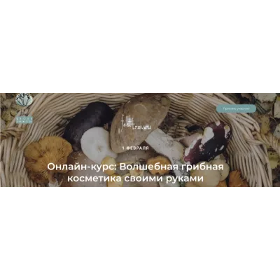 Волшебная грибная косметика своими руками (Татьяна Чуйкина)