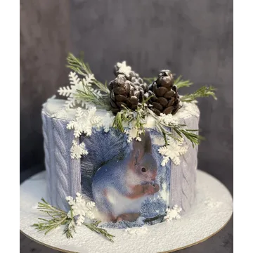 Торт «Мандариновое настроение» (Оксана Лобачева)