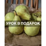 Онлайн-Курс по Корпусным пирожным "FlavorSculpt" (natashaladka)