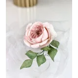 Курс "Сахарные цветы 2.0" (Елена Решетняк, Cake Pro)