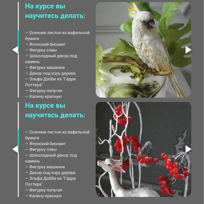 Декор для тортов. Часть 2 (Елена Гнут)