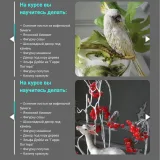 Декор для тортов. Часть 2 (Елена Гнут)