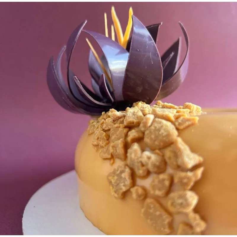 Курс "Муссовые торты" (Coup De Coeur)