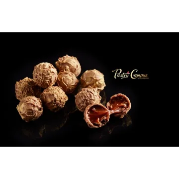 [PastryCampus] Трюфели и их виды (Мария Селянина)