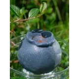 Онлайн-Курс по Корпусным пирожным "FlavorSculpt" (natashaladka)