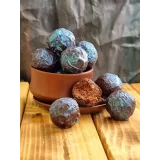 Сырные трюфели 2.0. Тариф Профессионал (Олеся Нежикова)