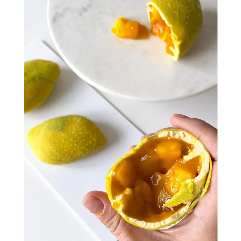 Онлайн курс "Фрукты" (Залина Борисова)