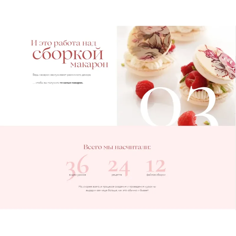 Курс "Идеальный макарон". Стандартный пакет (Ольга Пениоза)