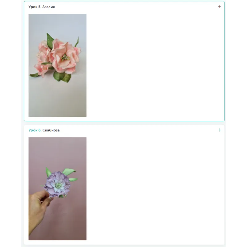[Cake pro] Онлайн-курс "Экзотические цветы" (Елена Решетняк)