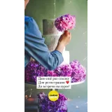 Ярусные торты (Анна Ульянова, Anuta_maletina)