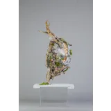 [piterovapastry] Текстуры NEW. Тариф Базовый (Инна Питерова)