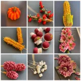 [elenapo11] Зефир в деталях. Тариф Продвинутый (Елена Попова)