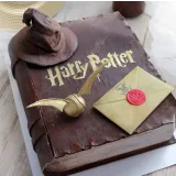 Торт "книга Гарри Поттера" (Ксения ПаниМарципани)